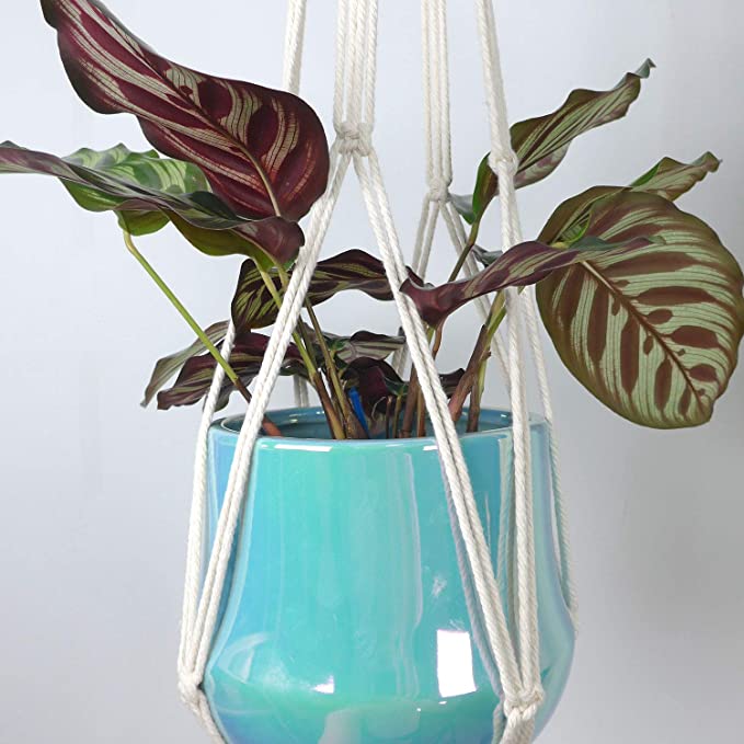 Plant Hanger - Indoor Outdoor Hanging Planter Basket Flower Pot Holder