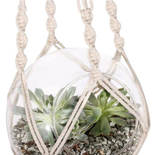 Load image into Gallery viewer, Macrame Plant Hanger 2 Pack Plant Hanger Cotton Rope Plant Hangers Indoor Outdoor
