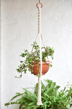 Macrame Plant Hanger - Off White
